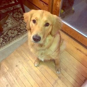 Meet your Posher, Tiffany